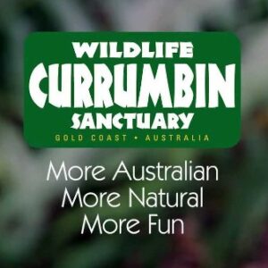 Currumbin Wildlife Sanctuary