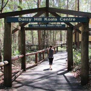 Daisy Hill Koala Sanctuary