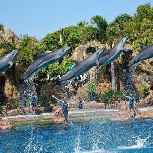Seaworld