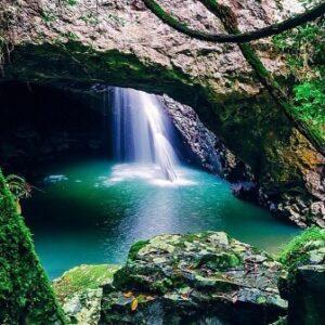 Springbrook