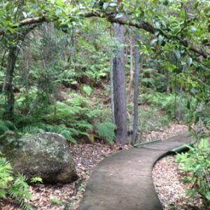 Springwood Conservation Park
