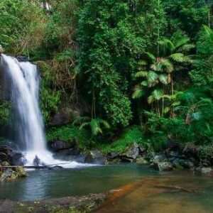 Tamborine Mountain