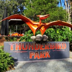 Thunderbird Park